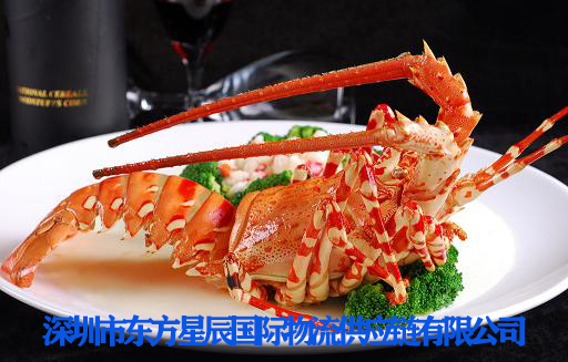 进口马来西亚野生水产品（龙虾）进口要求-进口龙虾怎么活着进入中国市场-龙虾进口清关手续