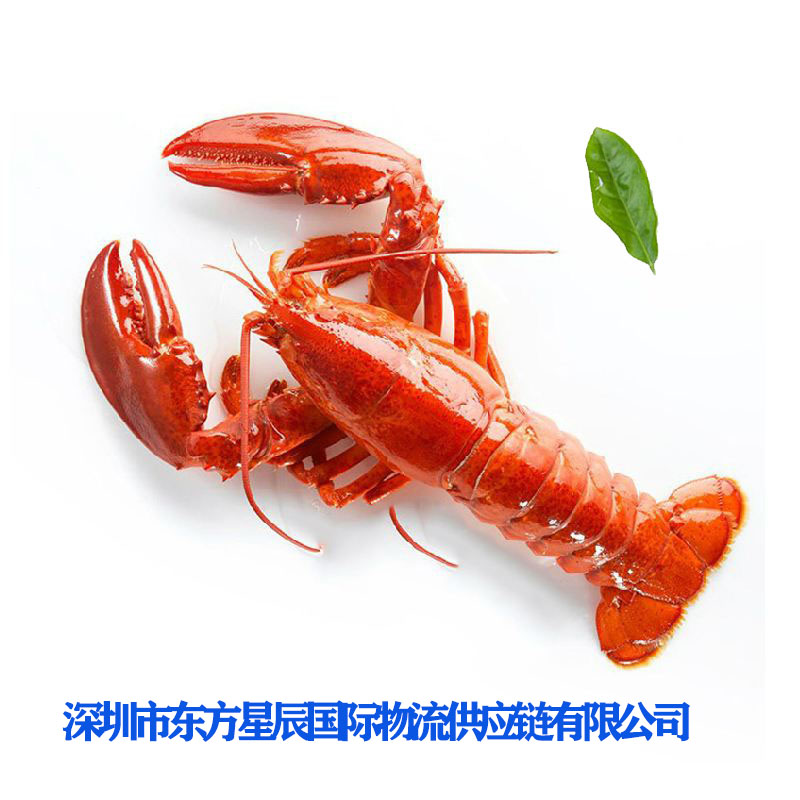 进口野生龙虾清关流程
