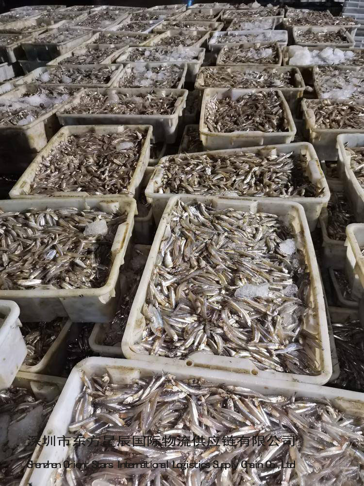 进口越南水产品准入目录--进口越南水产品（小公鱼）的清关要求-进口水产品清关公司