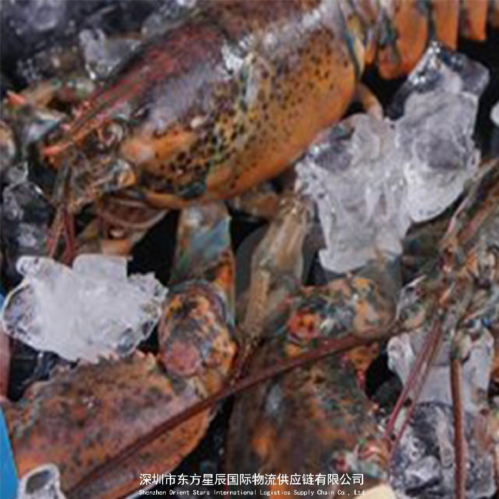 进口加拿大波士顿龙虾清关流程-加拿波士顿龙虾进口需要什么手续-加拿大波士顿龙虾进口关税-加拿波士顿龙虾进口注意事项