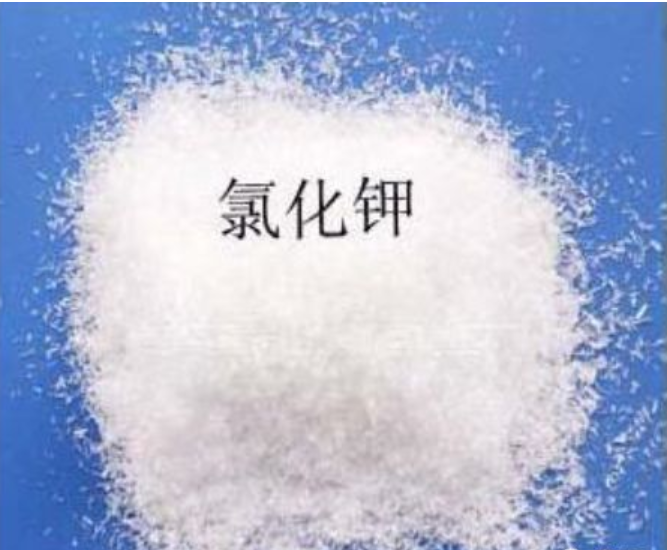 氯化钾进口需要什么文件