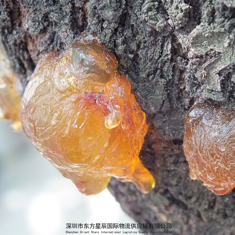 3类危险品松脂进口清关手续资质要求流程-代理报关货代