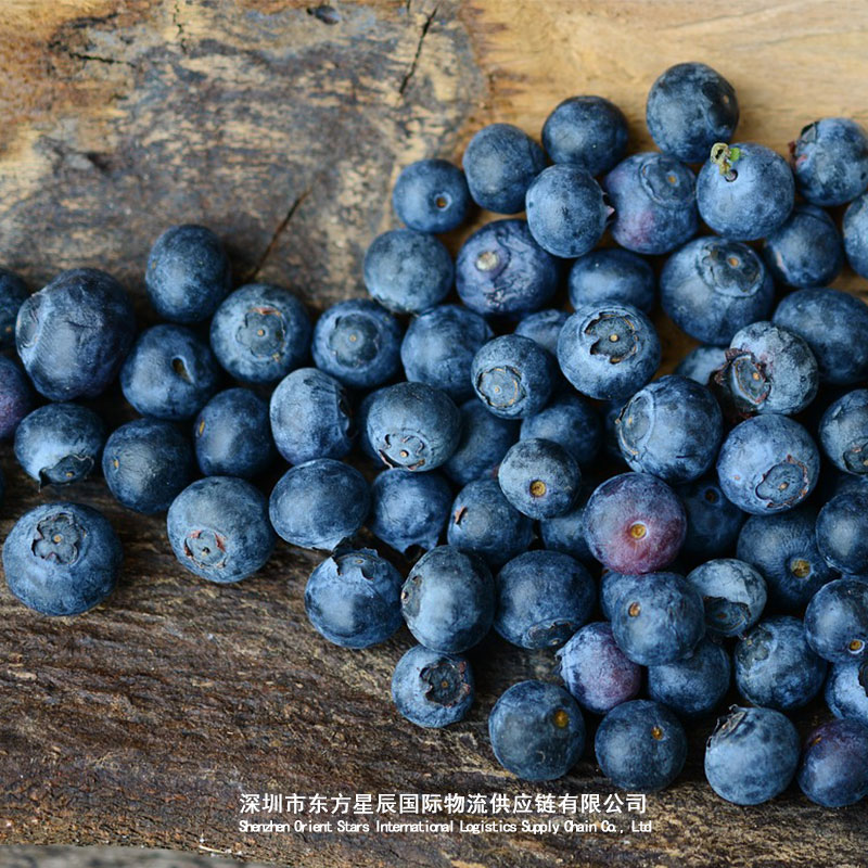 深圳广州港蓝莓进口流程大揭秘：海关清关流程、冷链运输一网打尽